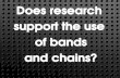Is training with bands and chains effective?