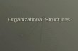 Mib organisation structure