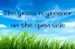 The Grass is Greener on the Open Side