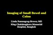 Imaging of Small Bowel and Colon