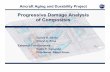 1-Progressive Damage Analysis (Davila)