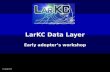 LarKC Tutorial at ISWC 2009 - Data Model