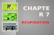 Respiration Chapter 7 Biology Form 4