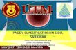 PADDY CLASSIFICATION IN SIBU, SARAWAK