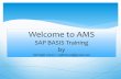 Introduction to SAP BASIS