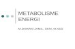 METABOLISME ENERGI1