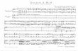 Bach - Piano Concerto in D Minor BWV 1052 (Busoni) [2 Pianos]