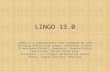 Lingo 13 & Lindo API Software