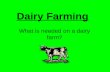 Dairy farming –process