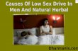 Causes of low sex drive in men and natural herbal treatments