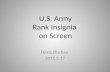 U.S. Army Rank Insignia on Screen