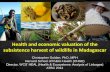 Health and economic valuation of the subsistence harvest of wildlife in Madagascar
