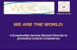We Are The Worl: A Journey Beyond Diversity to Cultural Competence (WOC 2014)