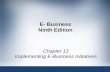 E-business by G. Schneider - Chapter 12 (edition 9)