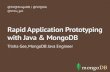 MongoDB, Angular.js, HTML5, Groovy, Java all together - WCPGW?!