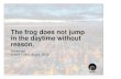 The frog does not jump in the daytime without reason.