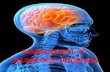 Traumatic brain injury and Spinal cord injury