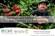 Agricultura Climáticamente Inteligente en Colombia, Karolina Argote. Octubre 2014