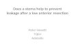 Does a Stoma Help to Prevent Leakage After a Low Anterior Resection