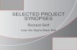 Synopses of Black Belt Projects