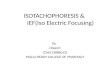 Isotachophoresis  &  ief(iso electric focusing