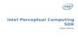 TDC: Intel Perceptual Computing SDK