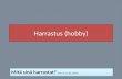 Harrastus (hobby)