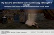 My Second Life didn't turn out the way I thought it would: Managing expectations for teaching and learning in virtual worlds
