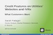 Credit Features on Utilities' Websites and IVRs