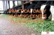 PDTC - Eldoret Baraka Farm