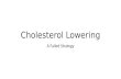 Cholesterol Lowering - A Failed Strategy