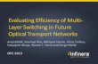 Evaluating efficiency of multi layer switching in future optical transport networks