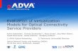 Evaluation of Virtualization Models for Optical Connectivity Service Providers