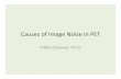 Causes of Noise in PET imaging