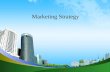 Marketing strategy by anirudh reddy
