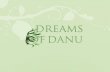 Dreams of Danu - Jan Jonk
