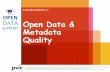 Open data and metadata quality