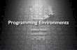 Future of Programming Environments
