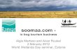 Bog tourism business - Soomaa - Estonia