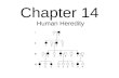 Biology - Chp 14 - Human Heredity - PowerPoint