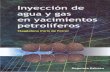 102658553 Inyeccion de Agua y Gas en Yacimientos Petroliferos Magdalena Ferrer