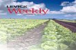 LEVICK Weekly - Sept 14 2012