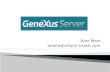 GeneXus Server