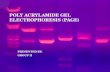 Poly acrylamide gel electrophoresis (page)