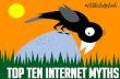 Top Ten Internet Myths
