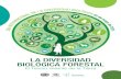 La diversidad biologica forestal