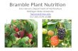 Presentation   eric hanson - bramble nutrition