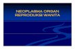 Rps138 Slide Neoplasma Organ Reproduksi Wanita