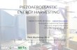 Piezoaeroelastic Energy Harvesting