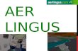 Aer lingus Information Powerpoint